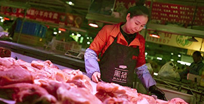 A股猪企财报三特征 分析：猪业寒冬难翻转