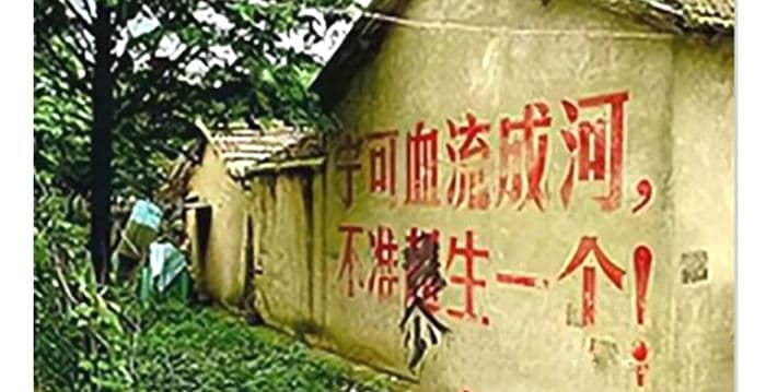 陶清兰：世界人口日 想起姐姐躲在棺材旁的日子