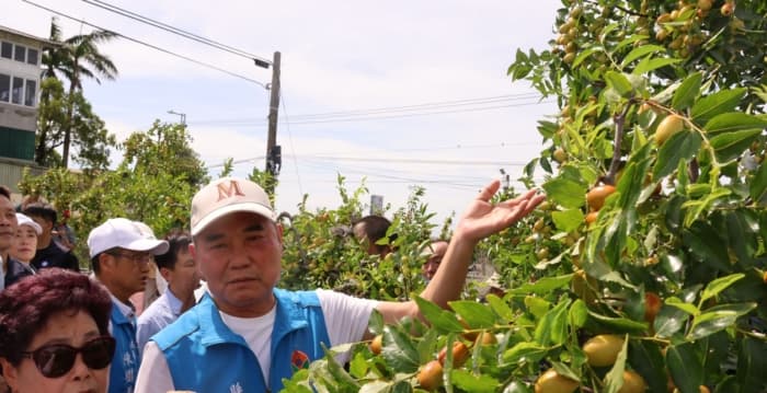 巴威台风造成苗县红枣灾损、道路、大桥损毁  争取补助复原