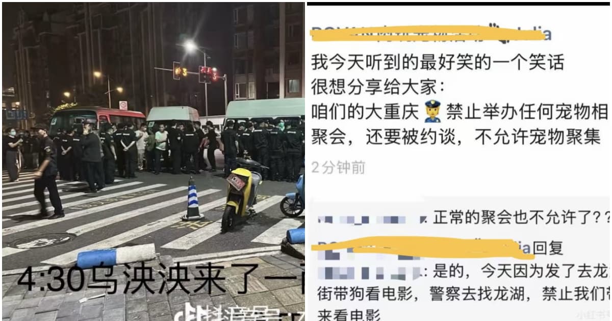 重庆抗议虐狗事件：当局后半夜抓人 取消宠物聚集活动