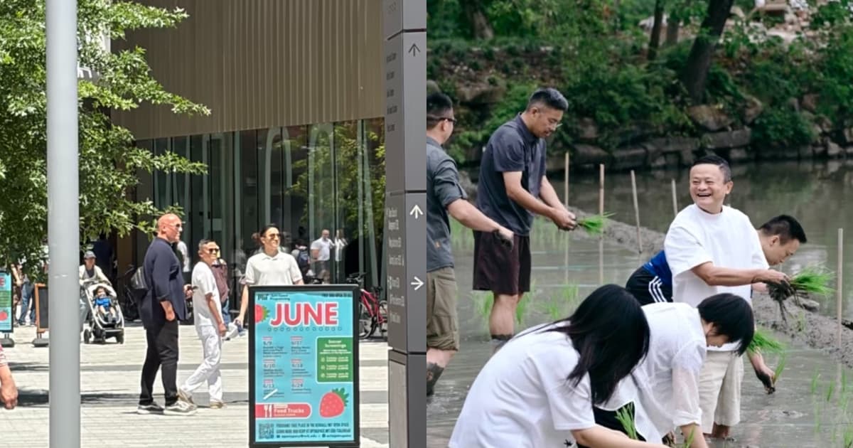馬雲剛在杭州插完秧 又現身美國名校引發熱議
