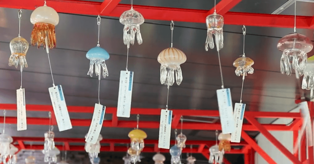 水母風鈴映夏日 京都水族館展清涼風情