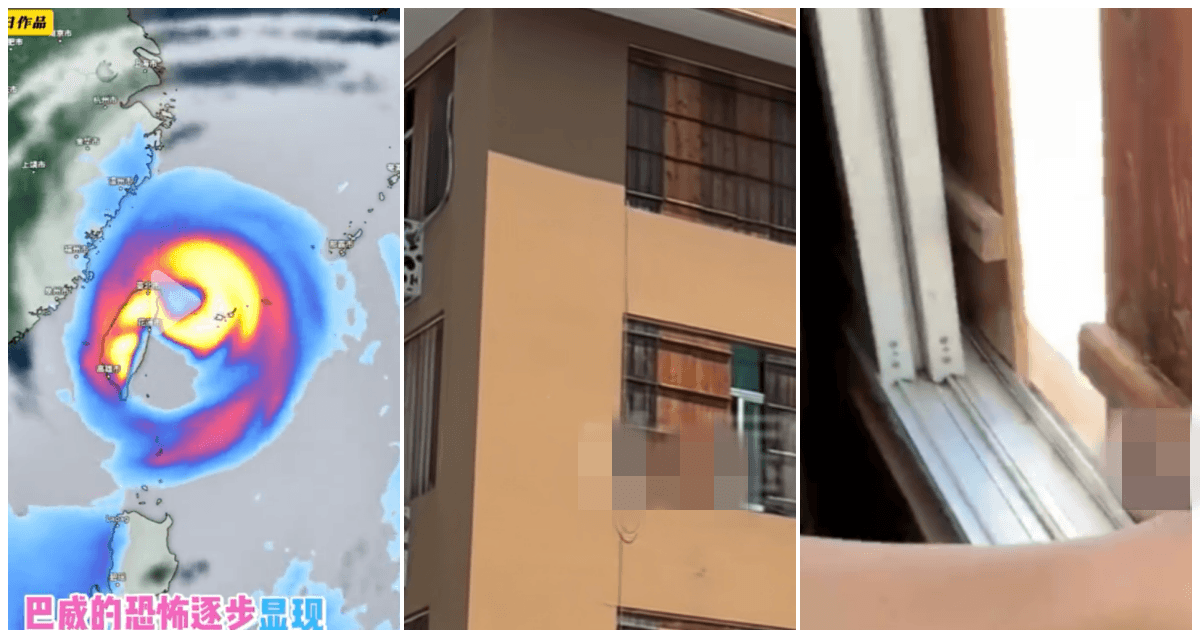 17級颱風來襲 浙江男子為自家窗戶裝擋風板