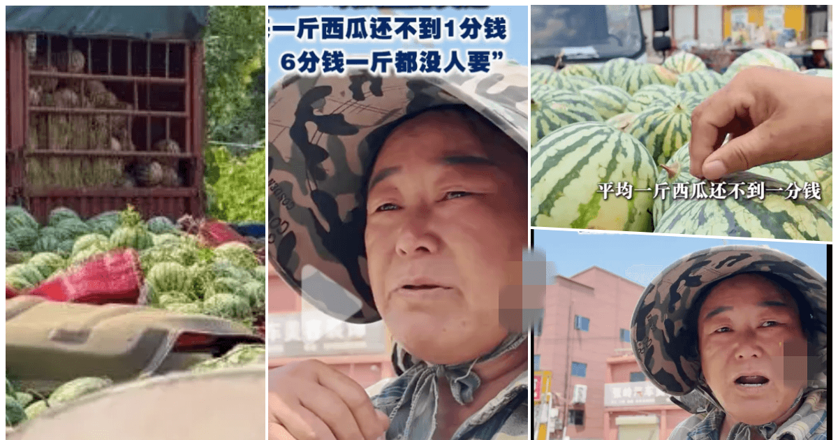 河南瓜農談西瓜滯銷:一斤不到1分錢