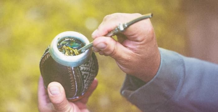 马黛茶:提神饮品可降低血糖保护心脏健康