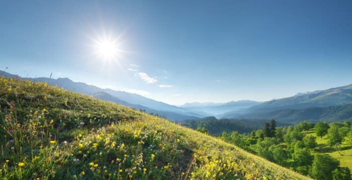 青松絮语:与山的重逢