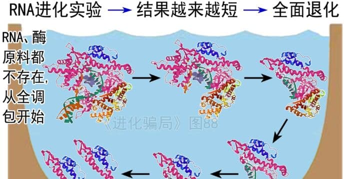 进化骗局(28) 斯皮格曼怪物 葬送进化之说