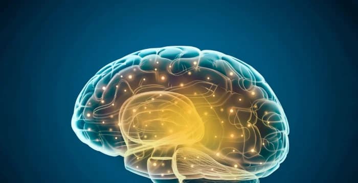 大脑老了变笨?科学家:一招启动大脑逆生长
