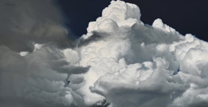 纽约苏富比携手ARC沙龙 展出顶尖当代美术