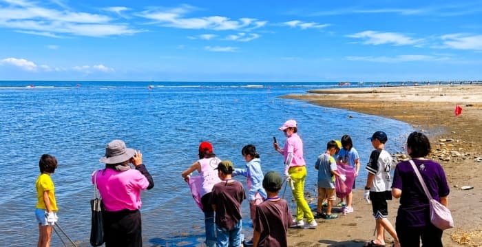 招潮蟹、小燕鸥、滨刀豆 大安滨海乐园体验多元环教