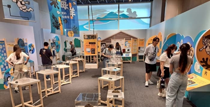 嘉市立博物馆未来海洋主题展 邀大家来探究