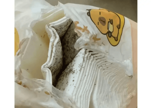 广东消费者投诉:清风抽纸内惊现大量活蚂蚁