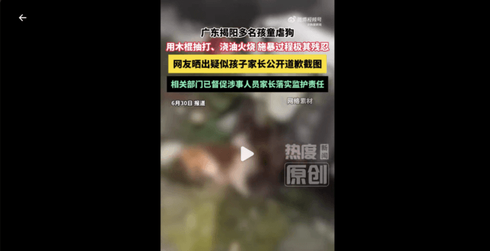 广东少年残忍虐狗引爆舆论 多地串连声援