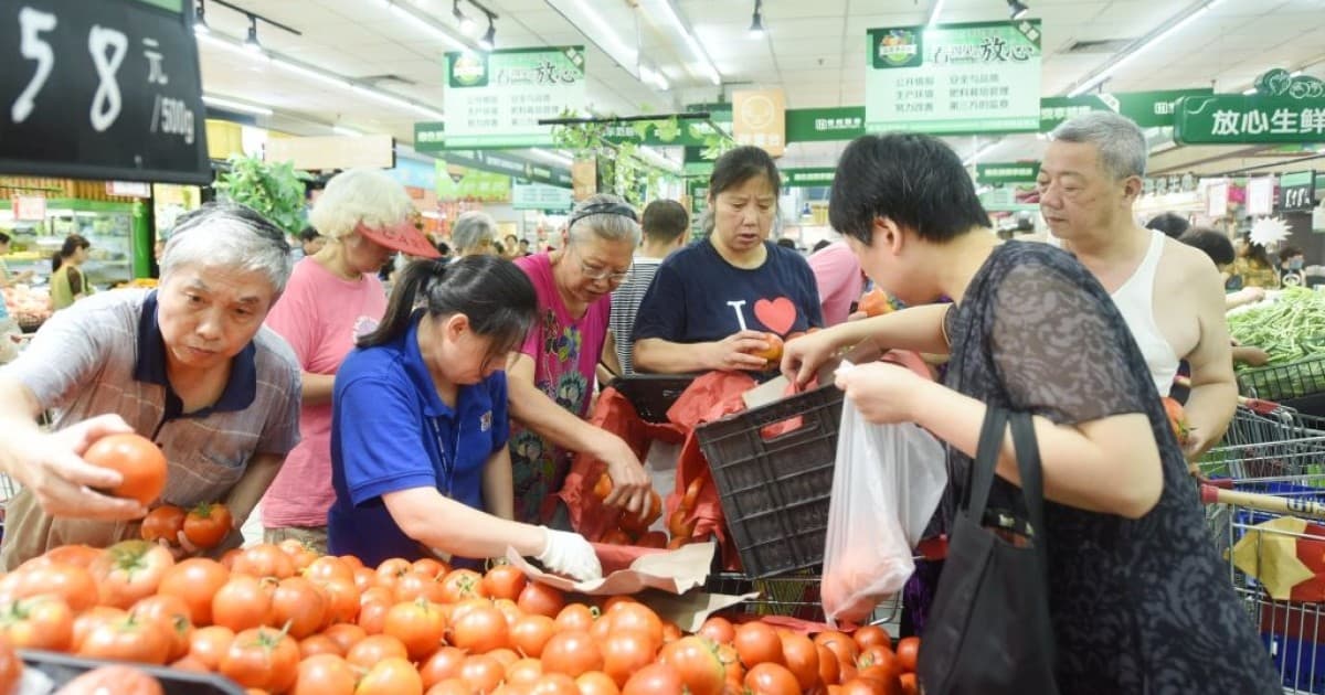 中国番茄低廉抢进欧洲 法媒:生产国自危