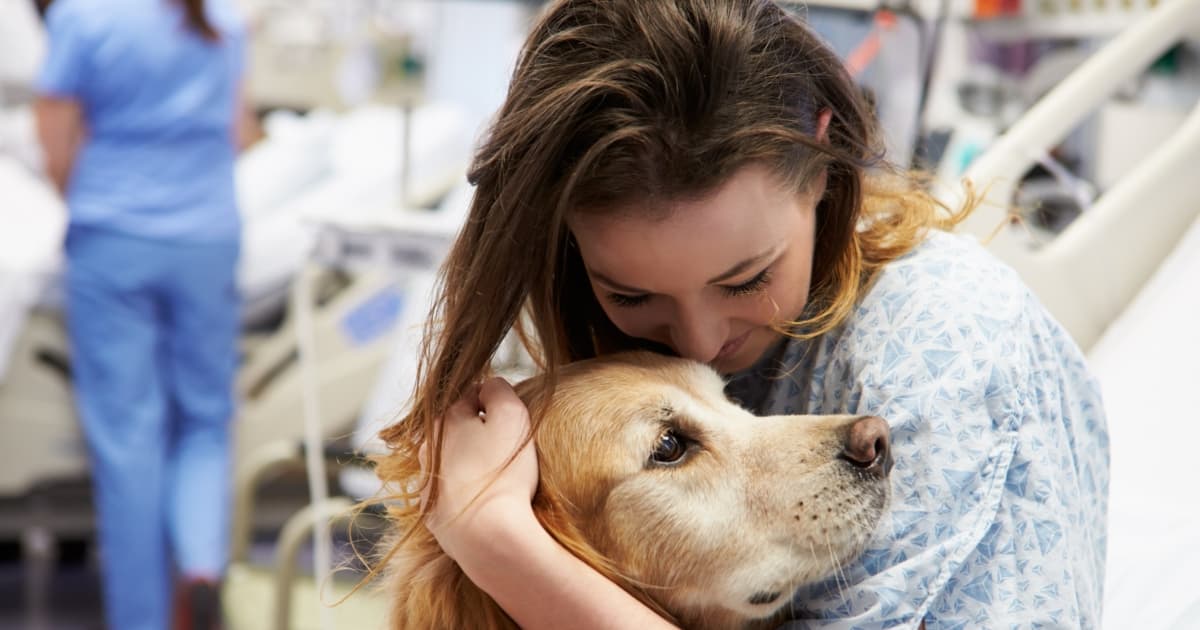 搭飞机遇医疗犬不停“提醒”她去体检真查出隐疾