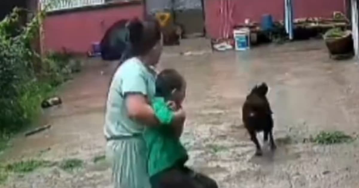 惊魂一刻!藏獒闯入家中 妈妈抱孩子狂奔逃生(慎入)