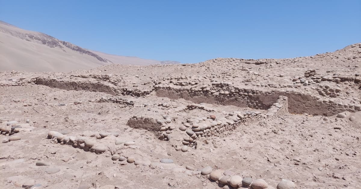 印加遺址發現保存「極好」的凍乾土豆 距今500年
