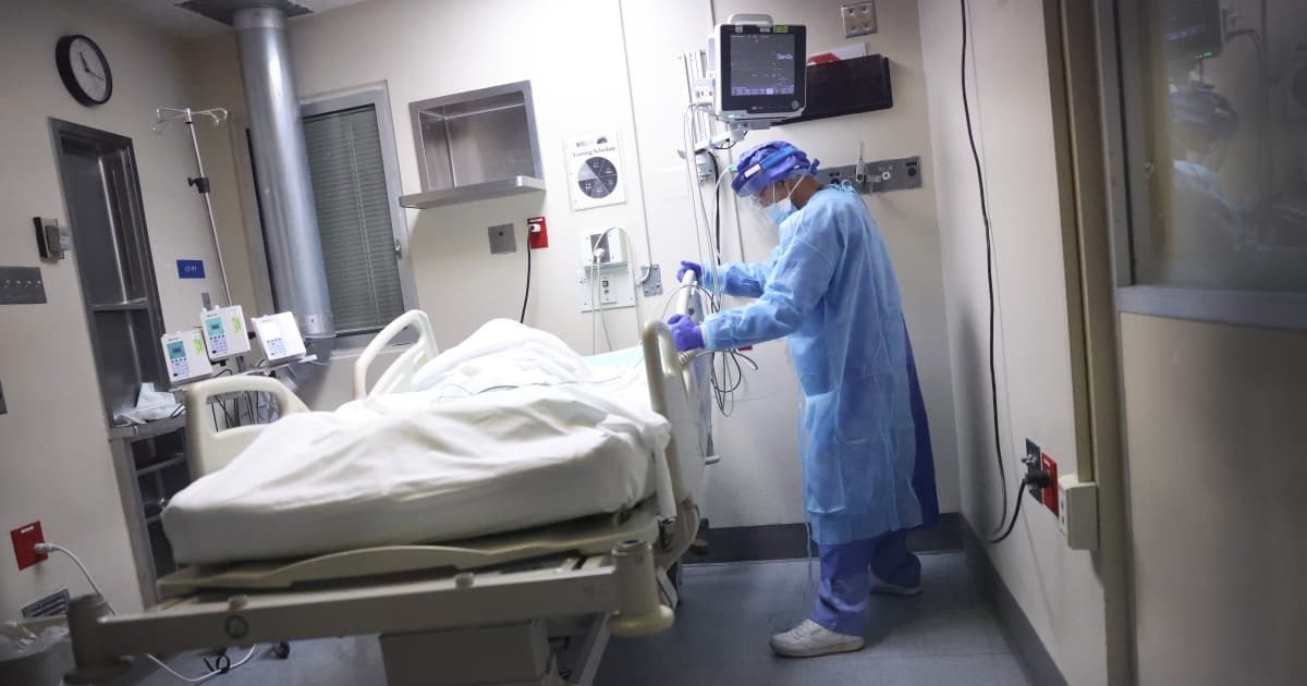 睡醒驚見蝙蝠趴臉 加國男童19天後狂犬病發慘死