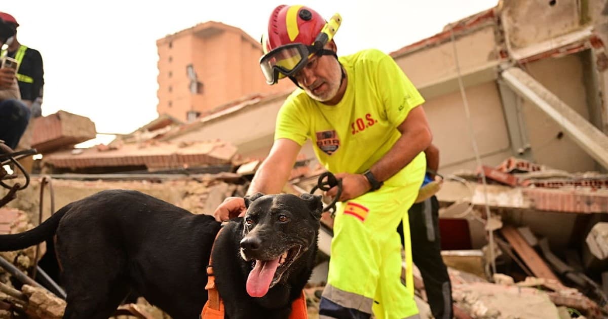 委内瑞拉强震逾3300罹难 逾百搜救犬深入废墟立功