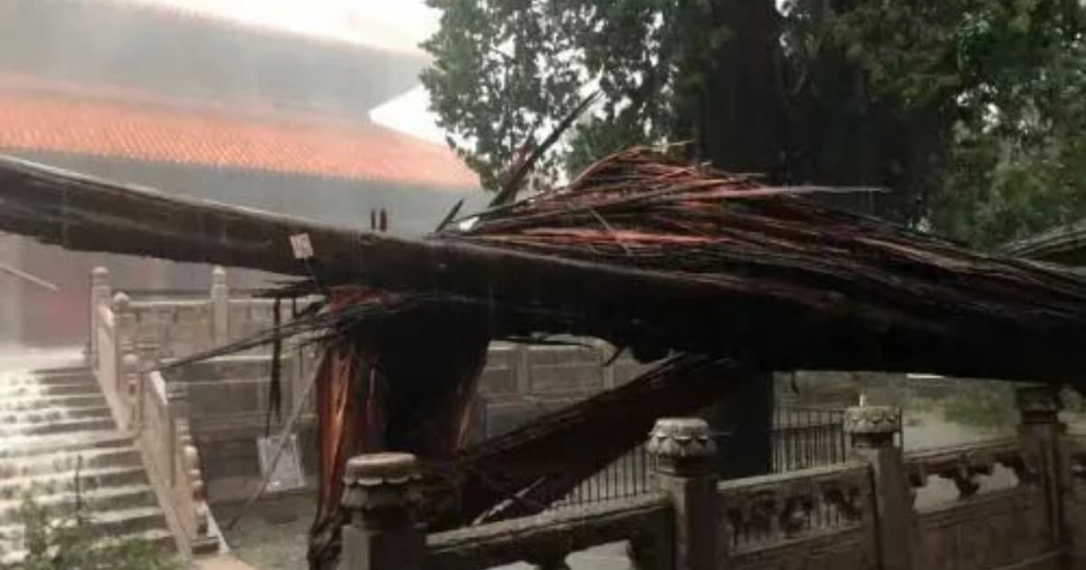 山東遭12級暴風雨襲擊 孔廟逾百年古樹被吹斷(多視頻)