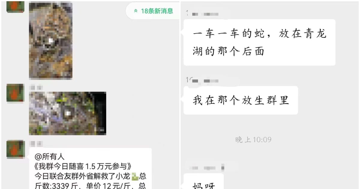 恐怖!傳成都青龍湖被「放生」數千條毒蛇