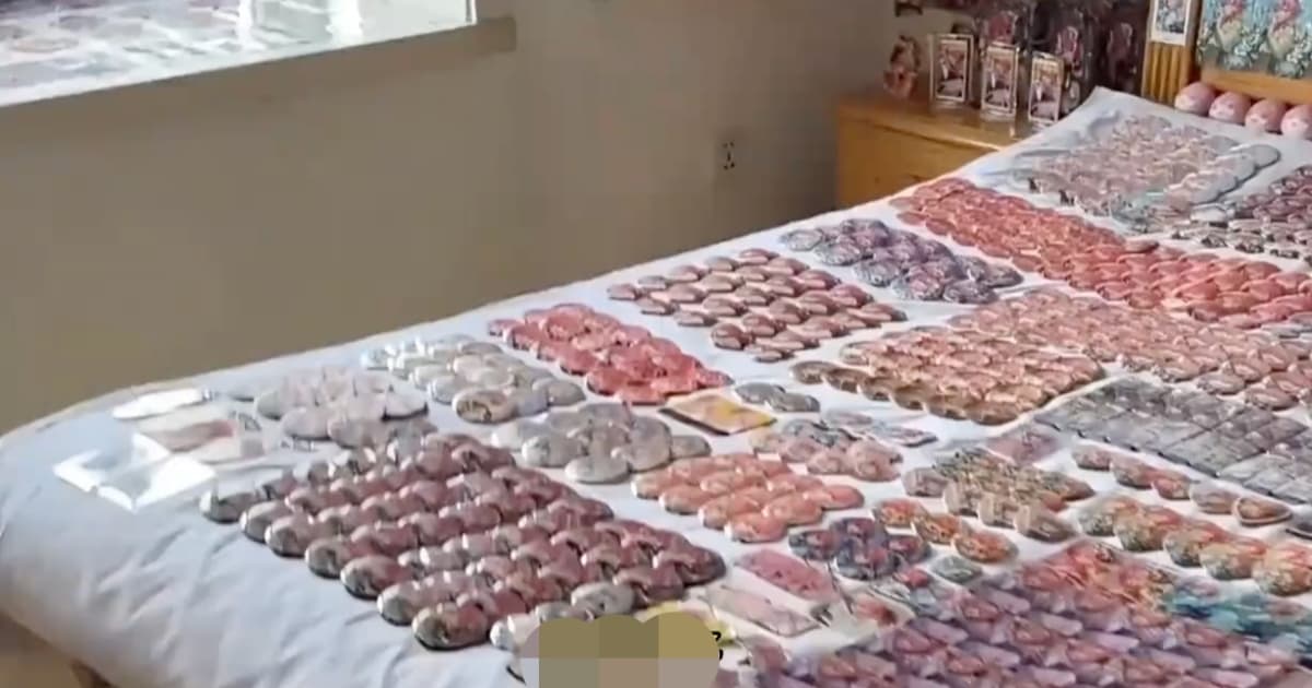 臥室擺滿動漫品 上海女中毒頭暈失眠(視頻)
