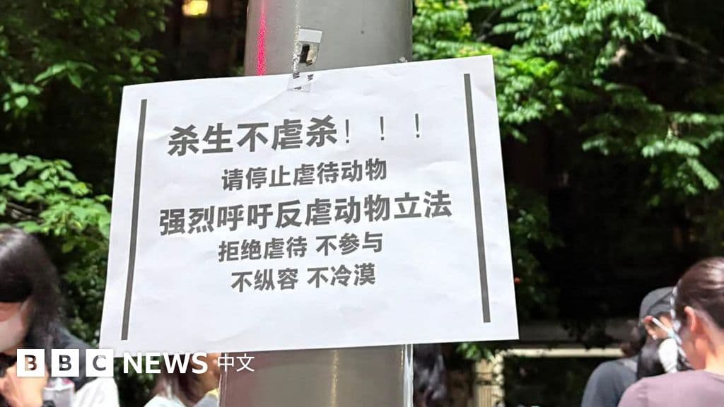 重慶虐狗風波:上百人集會抗議被清場,中國立法反虐待動物有多難?