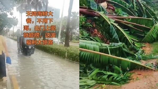 台风“美莎克”登陆海南 三亚一社区海水倒灌(组图)
